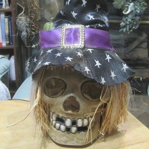 Halloween Fiber Optic Lighted Skull by East West Distributing Decoration